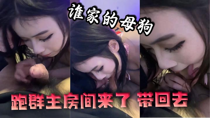 谁家的母狗跑群主房间来了 带回去